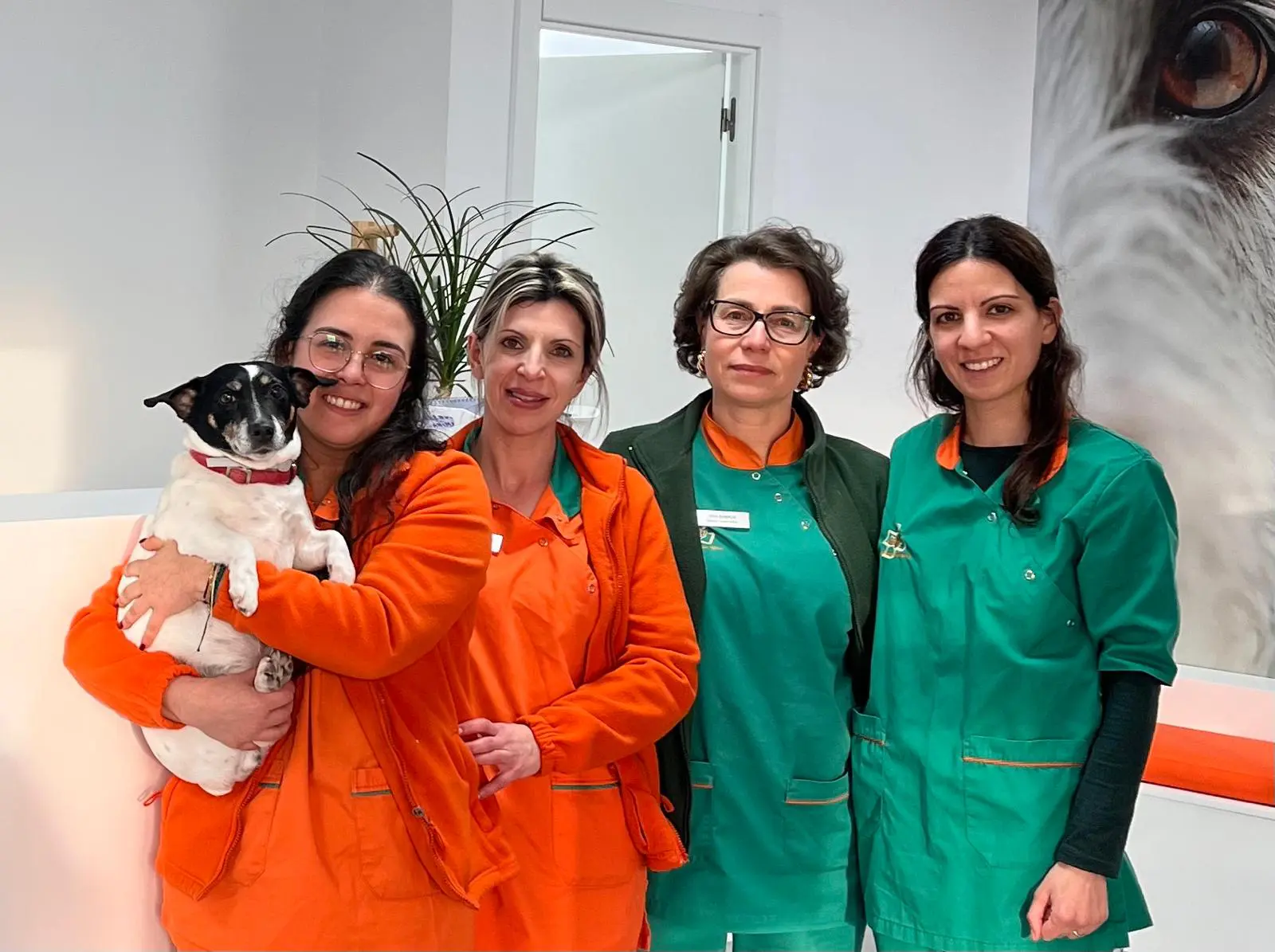 equipa da clinica do marco